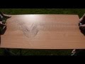 P And S Waves On A Slinky