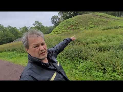 Borrehaugane 2022, Gravsted fra Bronsealderen