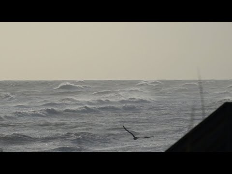 OBX Beach Report - 11/8/21 - Outer Banks This Week