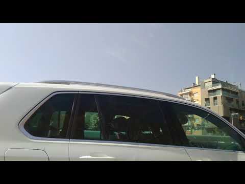 The enchanted web woods