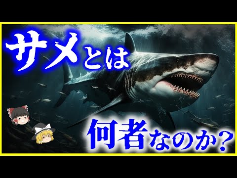 アロピアス・ブルピナス