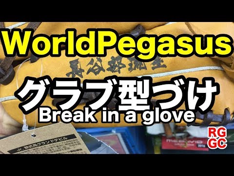 グラブ型付け World Pegasus（ノーカット版）Break in a glove #1987 Video