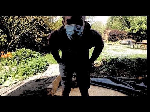 Saxo 1.1i: Special Corona (not original but idc)