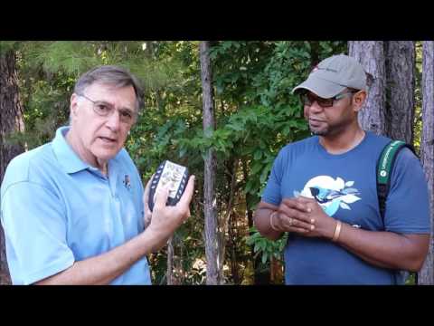 The BirdSong IdentiFlyer Lyric!  Simply the Best Way to Learn Bird Songs!