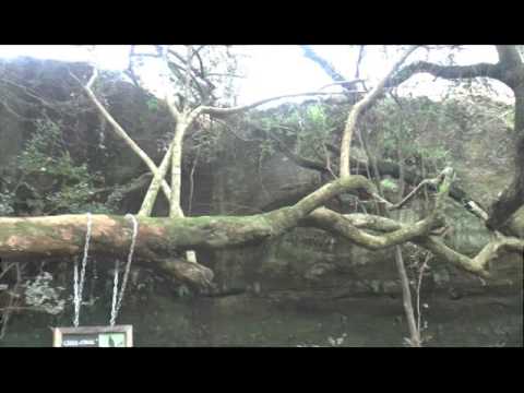 Las Grutas de La Paloma - Durazno