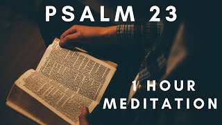 PSALM 23  1 Hour Repeat  Bible Verse Meditation  Fall Asleep to Gods Word