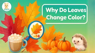 Why do leaves change color? | The Science of Fall Leaves for Kids