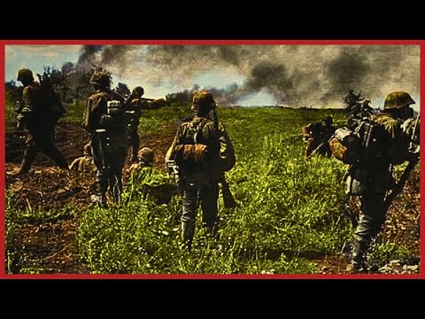 Bericht eines deutschen Soldaten (Rschew 1942): Als Letzter den Graben verlassen