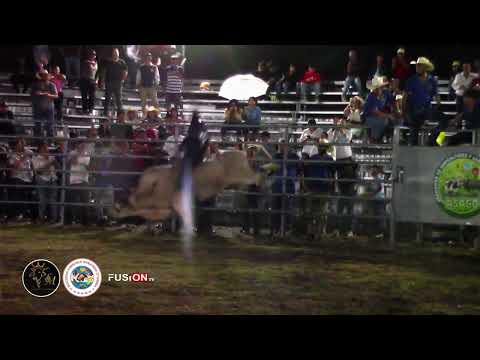 Resumen Rancho el Paraiso Jesus de Otoro 19 de Octubre 2025