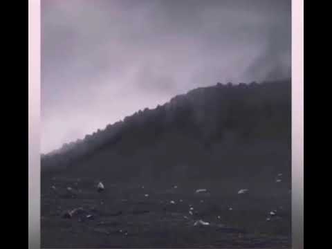 THE CALCULATOR (2014) - Short film Trailers