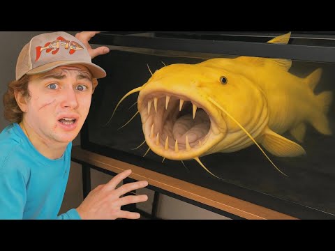 Comprei o peixe carnívoro mais raro do mundo!