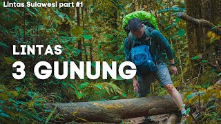 Download lagu Cross 3 Mountains #1 | Bulubaria Mountain Forest Trail mp3
