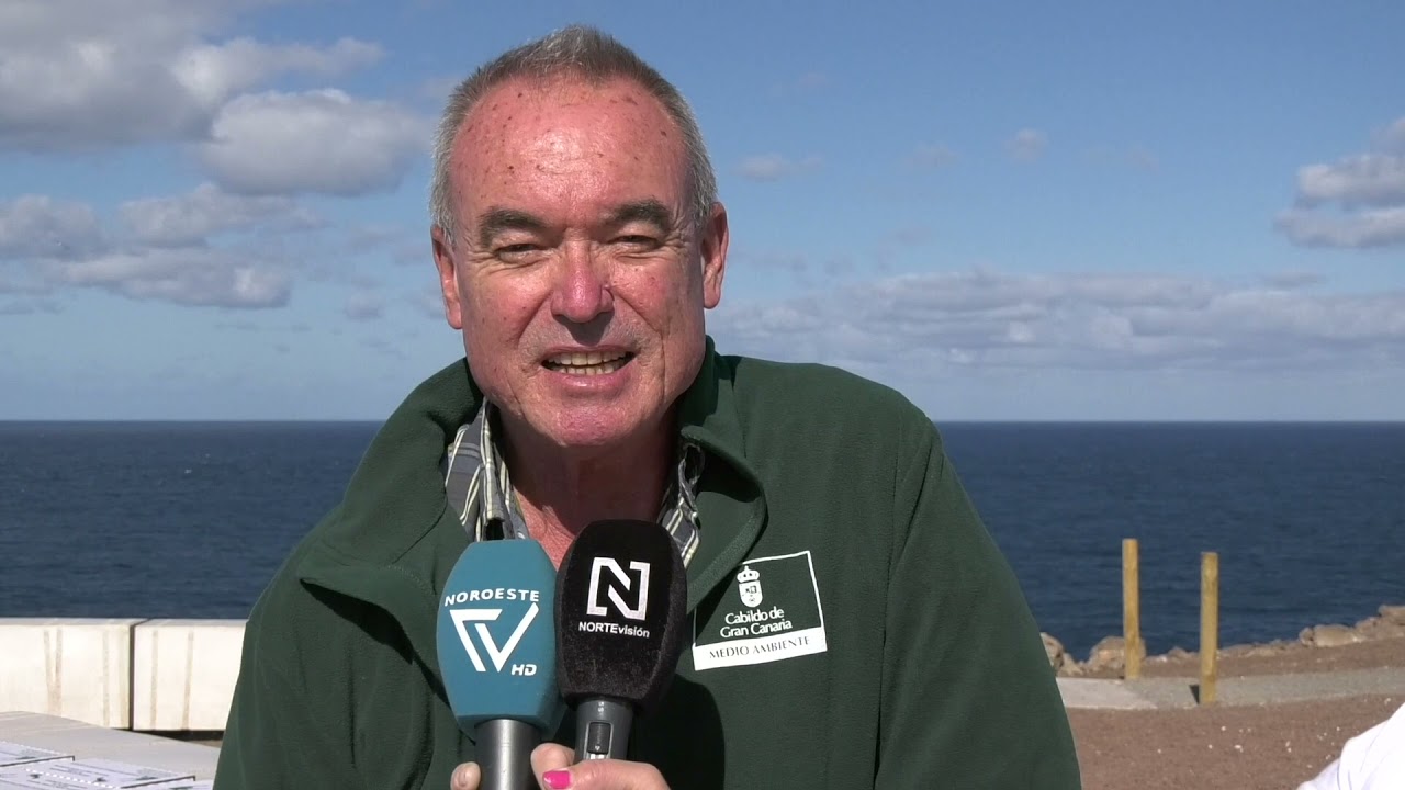 NORTEvisión noticias... Suelta de pardelas en la costa de El Faro de Sardina de Gáldar