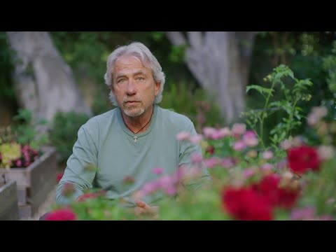 The restorative potential of nature's beauty