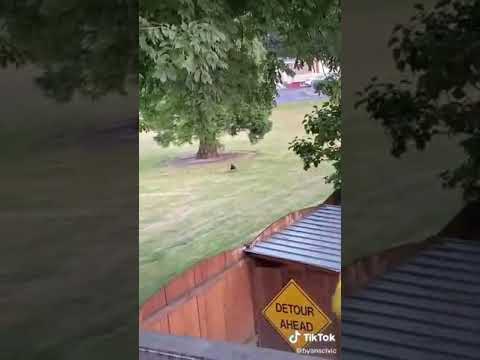 وقت الطعام😂