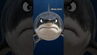 Fatos Aterrorizantes Sobre o Megalodon #biologia