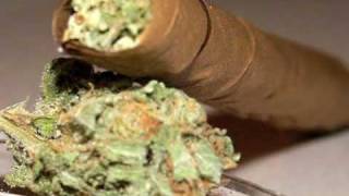 Curren$y Ft. French Montana- In The Sun