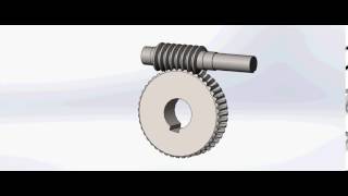 Worm Gear Animation
