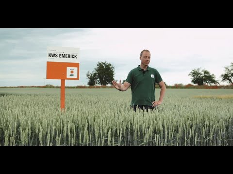 Welche Getreidesorten empfehlen wir für die Aussaat 2020 in Thüringen und Sachsen-Anhalt?