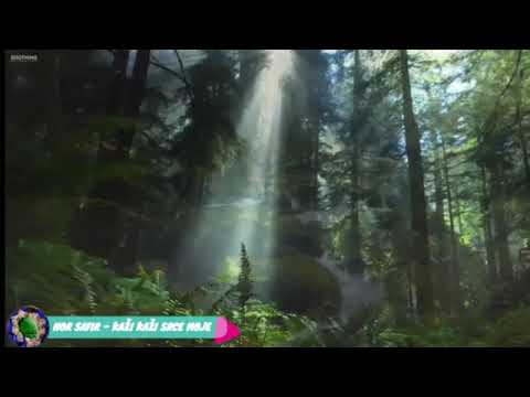 HOR SAFIR - Gospodaru  (Kaži, kaži srce moje)