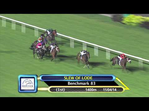 KrisFlyer International Sprint 2014 Contenders (Slew of Lode)