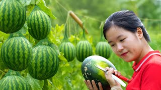 Download lagu Harvest Watermelon goes to market sell, summer's delicious summer fruits | Ella New Life mp3