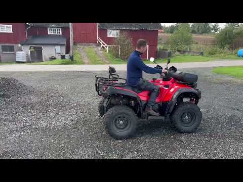 Videoklipp