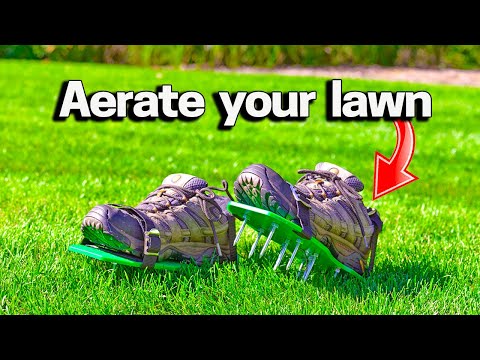 小さな芝生にエアレーションする方法