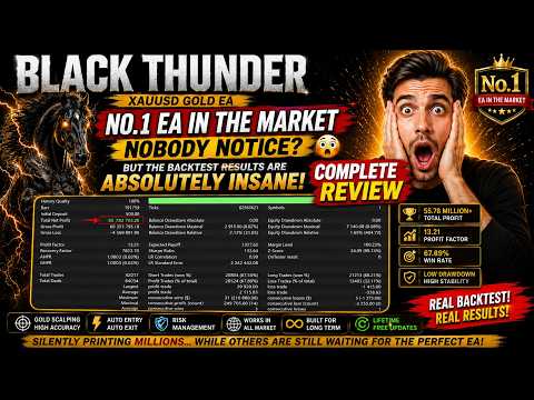 Video Black Thunder EA MT5