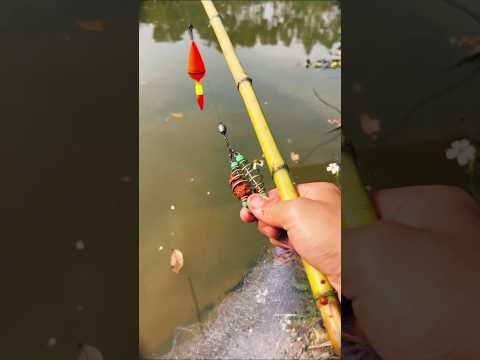 Unique bait latest fish catching techniques in river  #fishing #fish #shorts #beats