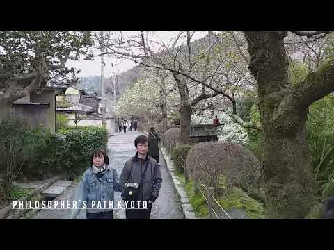 How to Spend 14 Days in Japan - Philosopher's Path