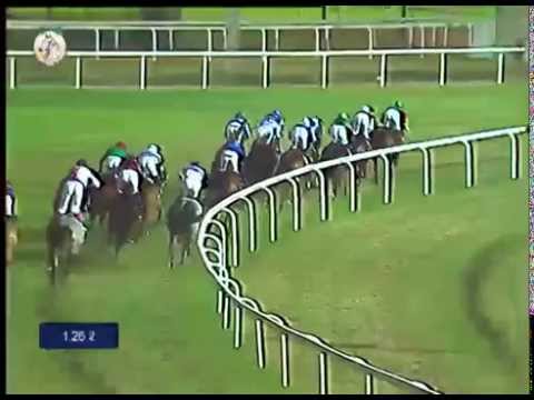 Qatar Derby  26th December 2013