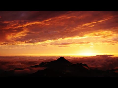 PERPETUAL LOOP  - Never been the same since