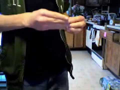 Gecko Video Contest Entry