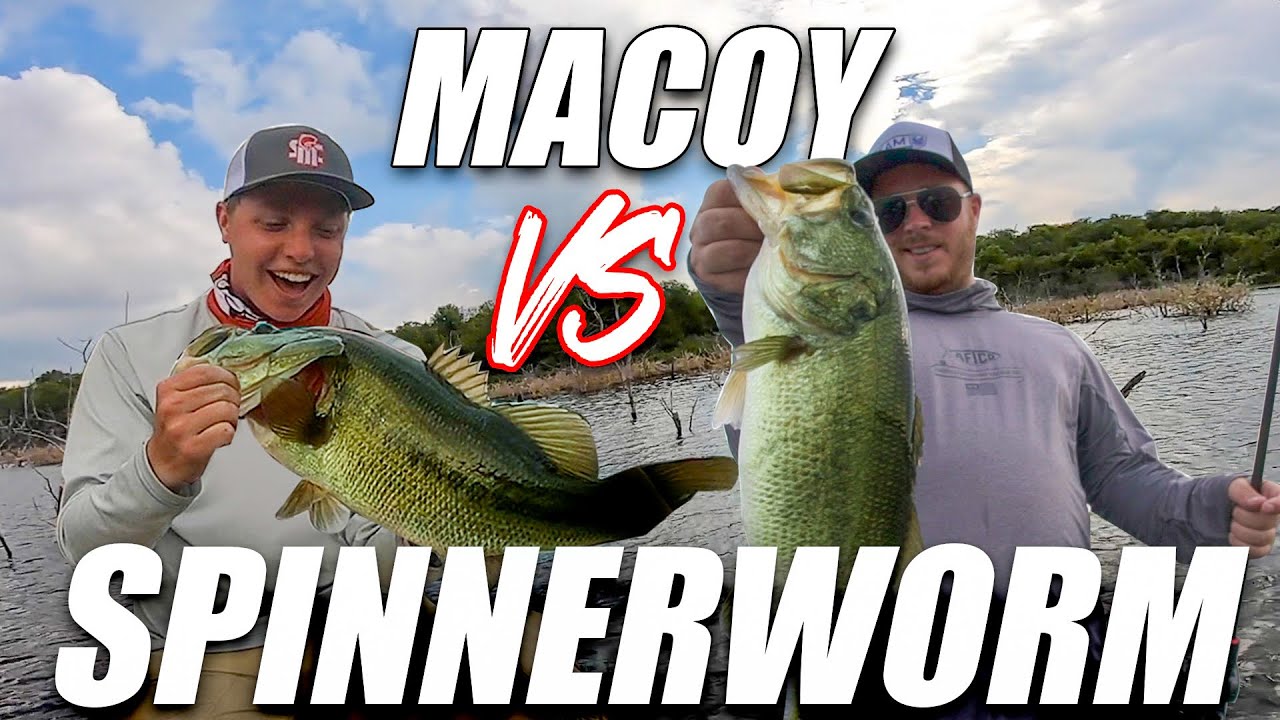 The Challenge EVERYONE WANTED! SPINNERWORM vs MACOY