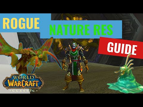 Phase 5 Rogue Nature Resist Gear Guide!!! WoW Classic