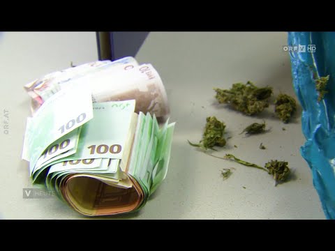 Haftstrafen für Marihuana Großhandel - Vorarlberg heute
