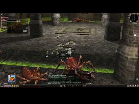 2024 01 11 15 39 13 Cordenio