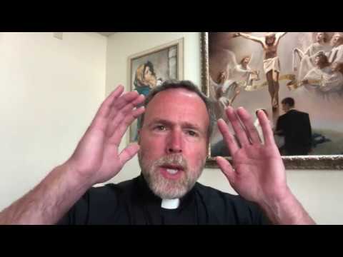 A New Heaven & New Earth - Fr. Steven's Daily Reflection - June 2, 2020