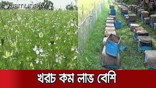 শরীয়তপুরে বাড়ছে মসলা ফসলের আবাদ সেই সাথে ভাগ্য খুলছে কৃষকের