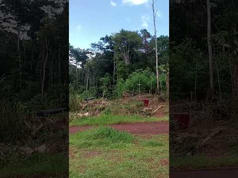 Serra do navio AP 2026