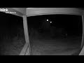 Woman Killed In Suspected Mountain Lion Attack In Colorado