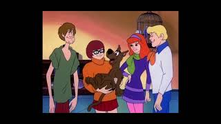 Scooby Doo Goes Hollywood - Scooby’s Past