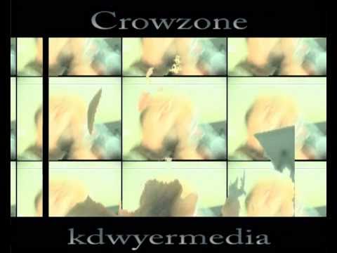 Crowzone - Part of the System