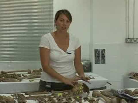 Digging up a grim past in Cyprus