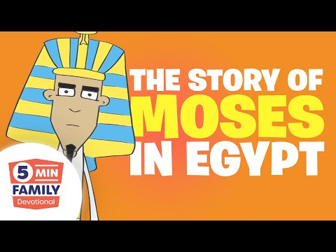 Witness21 Editor  2023 01 08