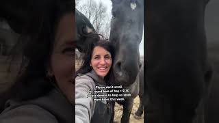 Download lagu Keep going ❤️.I promise. One day. It’ll be ok. Maybe not today. Or tomorrow. Or next year.#fyp #100k mp3