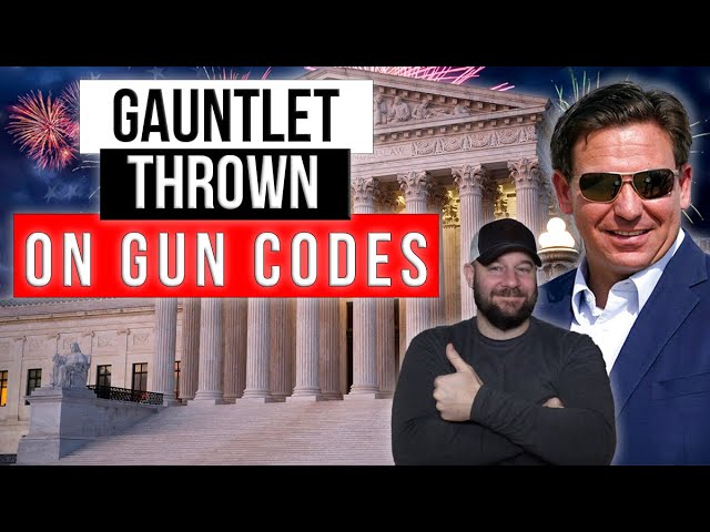 EPIC! Gun and ammo purchasing codes to be BANNED AND FINED..! THIS is how we stop this!