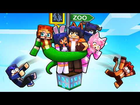 10 FRIENDS on my ZOO BLOCK!