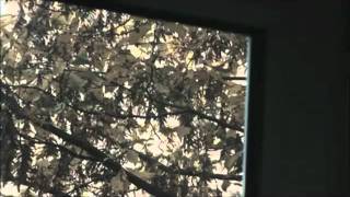 Nor Elle - On The Roof